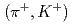 $$(pi^{+},K^{+})$$