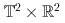 $$mathbb{T}^2times mathbb{R}^2$$